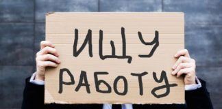 НАЗН помогло найти работу более 8 200 человек