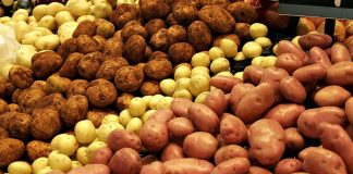 В Молдове дешевеет картофель