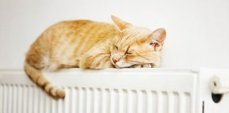 В Кишиневе начинается отопительный сезон. С какого числа подадут отопление в дома?