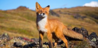 Прогноз погоды в Молдове на 7 июня