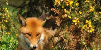 Прогноз погоды в Молдове на 9 июня