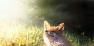 Прогноз погоды в Молдове на 7 октября