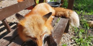 Теплая неделя без осадков: какой будет погода в конце января