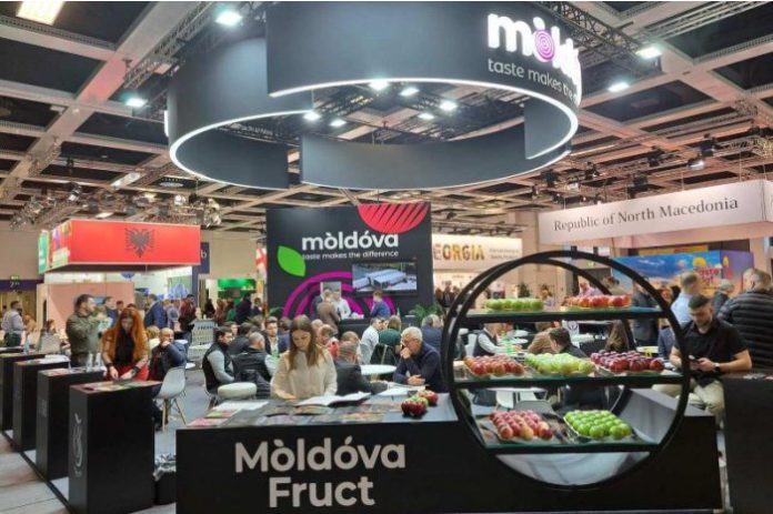 24000903_big1707409904