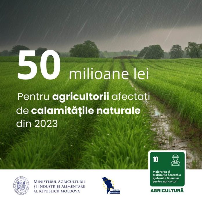 424607041_838308418312990_8486308591678017502_n