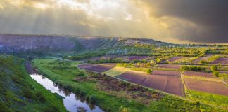 Винные реки Молдовы. Расследование