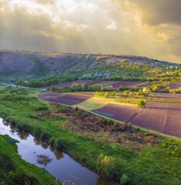 Винные реки Молдовы. Расследование