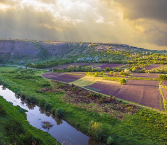 Винные реки Молдовы. Расследование