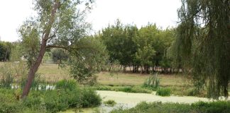 17 миллионов леев на возрождение реки Чуболта