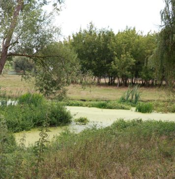 17 миллионов леев на возрождение реки Чуболта