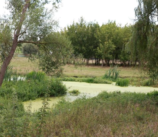 17 миллионов леев на возрождение реки Чуболта