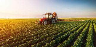 В Молдове создадут «Реестр фермеров» для прозрачного распределения субсидий