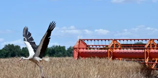 Единая политика ЕС в сельском хозяйстве и как фермеры берут верх
