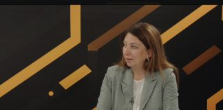 Вероника Херца: Поддержка Евросоюзом развития зелёной энергетики в Молдове была очень весомой