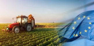 ЕС скупит все молдавские земли? Как обстоят дела на самом деле