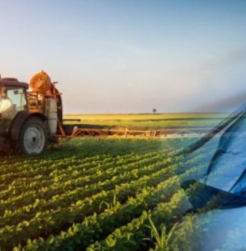 ЕС скупит все молдавские земли? Как обстоят дела на самом деле