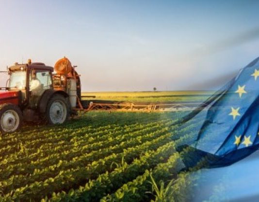 ЕС скупит все молдавские земли? Как обстоят дела на самом деле