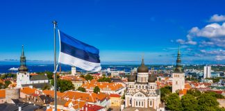 Эстония и путь к европейской интеграции: изменения в жизни граждан после вступления в ЕС